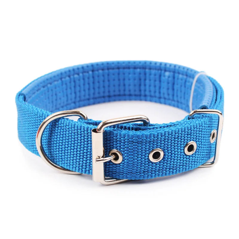 Classic Nylon Dog Collar in Blue