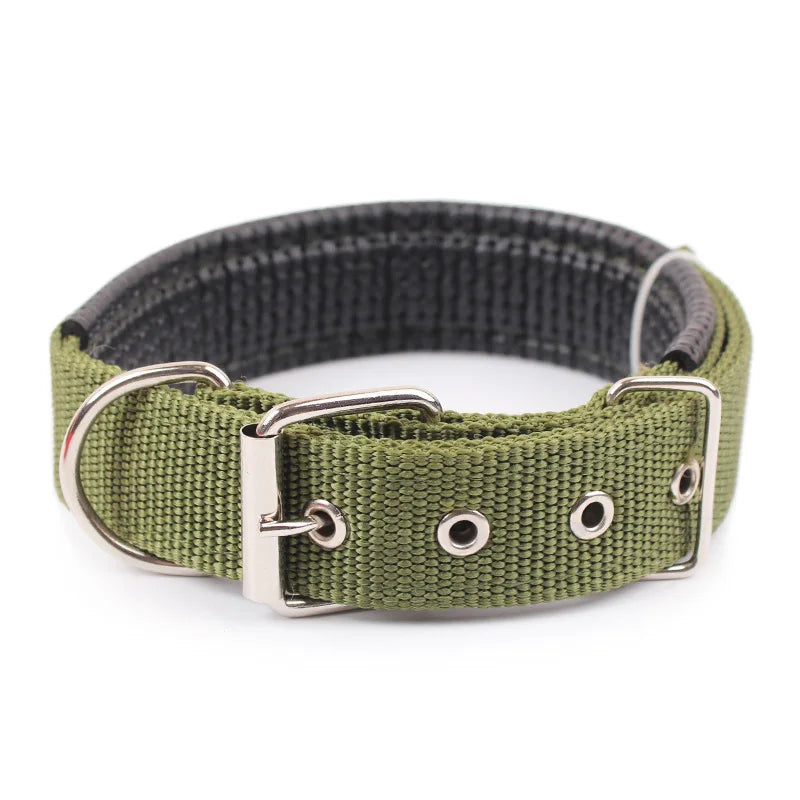 Classic Nylon Dog Collar in Army Green