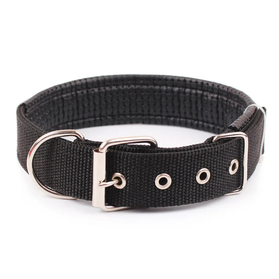 Classic Nylon Dog Collar in Black