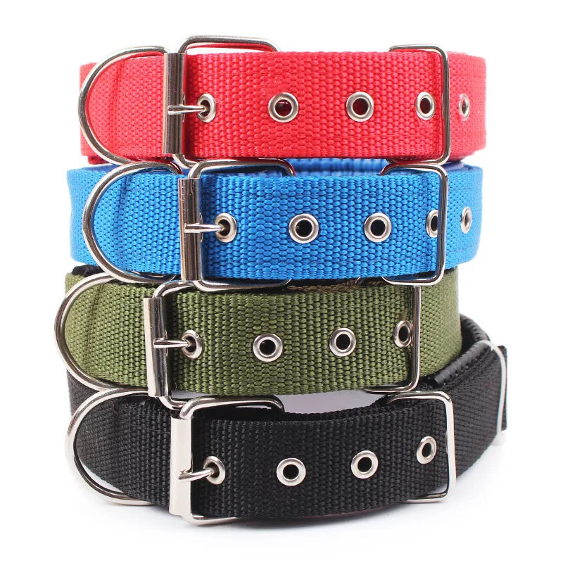 Classic Nylon Dog Collars in red, blue, green and black