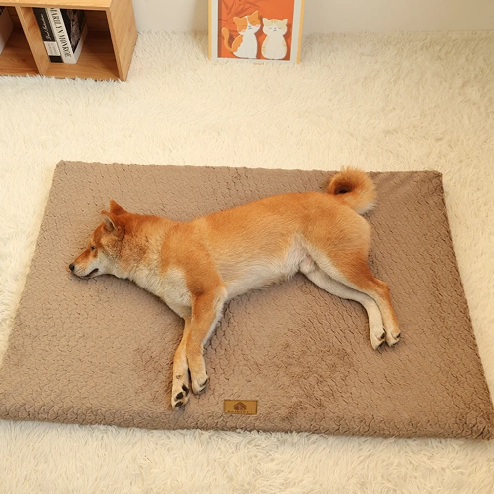 Dog stretched out on the Cloud Foam Dog Bed