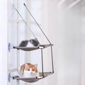 Cats on a double-deck window hammock