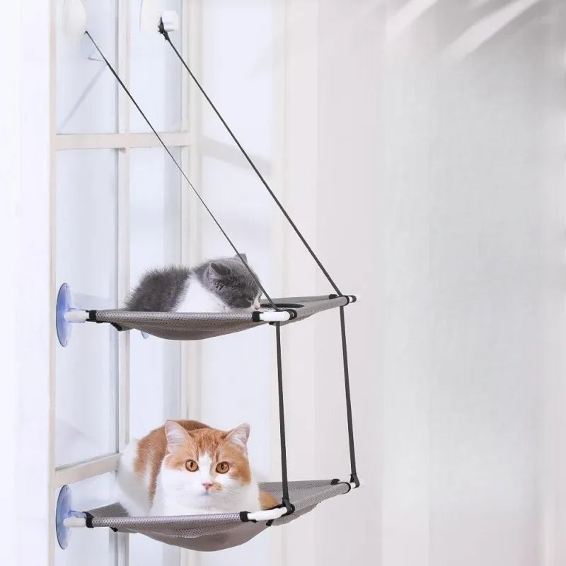 Cats on a double-deck window hammock