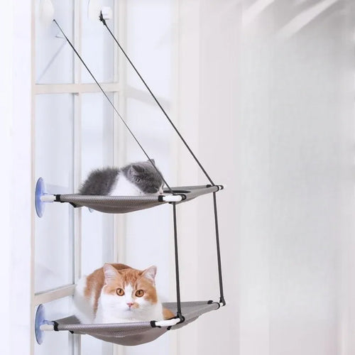 Cats on a double-deck window hammock