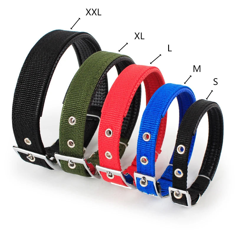 Classic Nylon Dog Collar sizes S to XXL