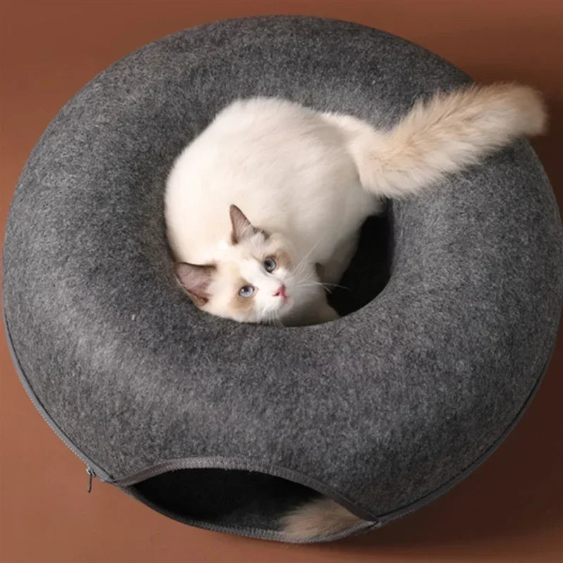 Cat playing in the Felt Cat Cave tunnel