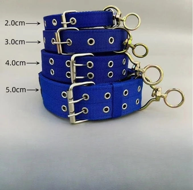 Heavy-Duty Padded Dog Collar in Blue, all widths