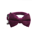 Velvet Bow Cat Collar in Purple