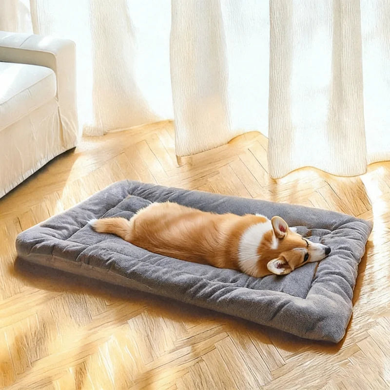 Dog napping on the Large Plush Dog Bed in a sunny room