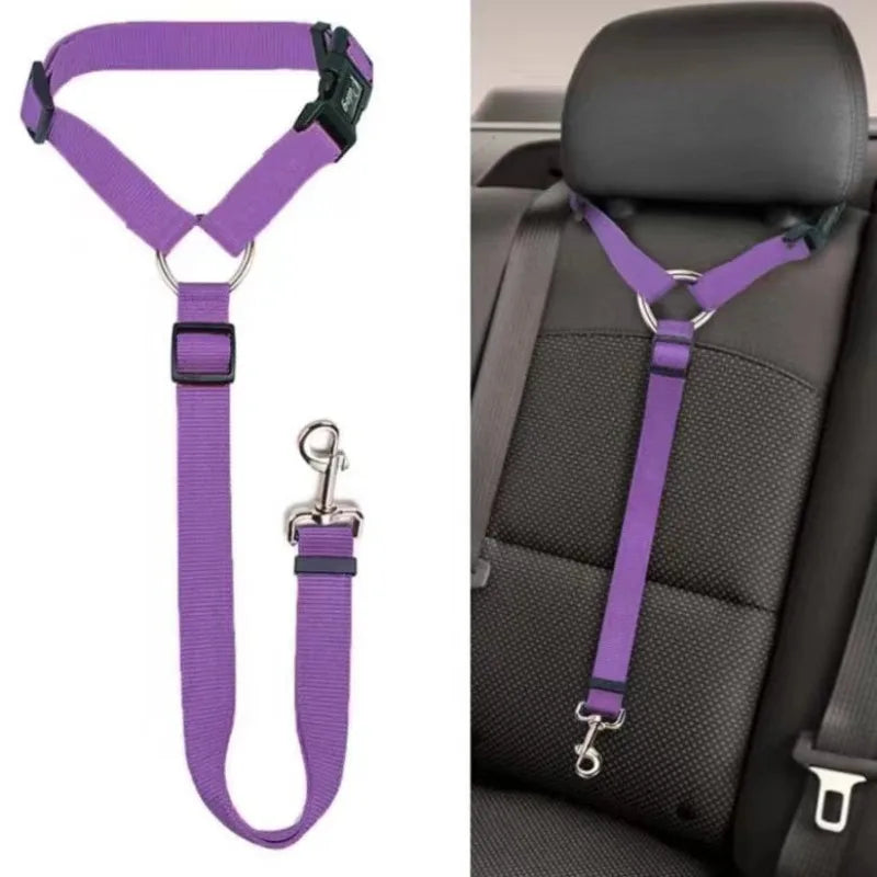 Car Seat Belt Lead