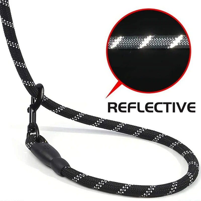 Reflective rope lead glowing in the dark