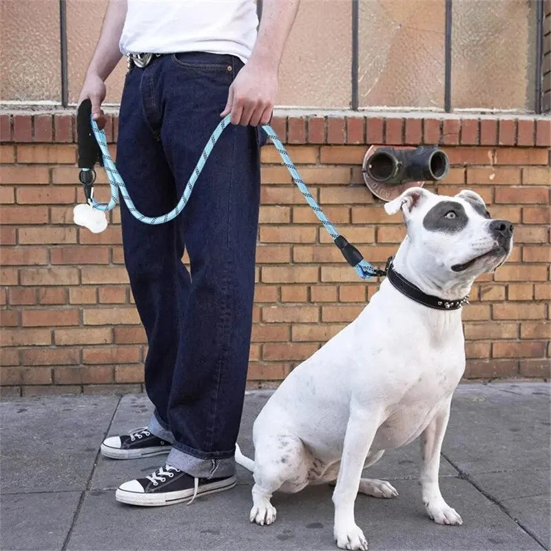 Dog walking on the Reflective Rope Dog Lead