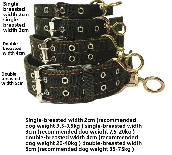 Heavy-Duty Padded Dog Collar widths and sizes