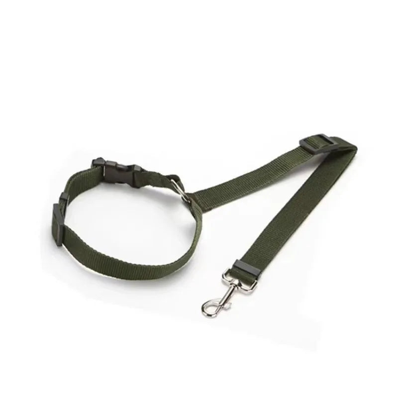 Car Seat Belt Lead