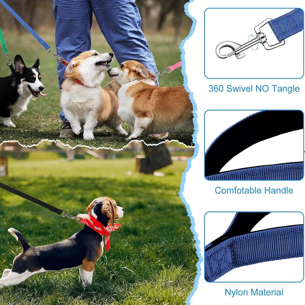 Dogs training on a long lead outdoors