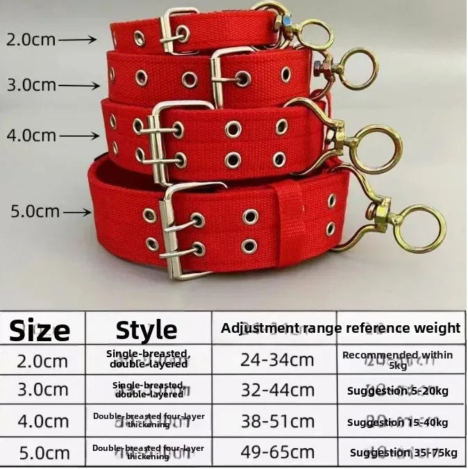 Heavy-Duty Padded Dog Collar in Red with size chart