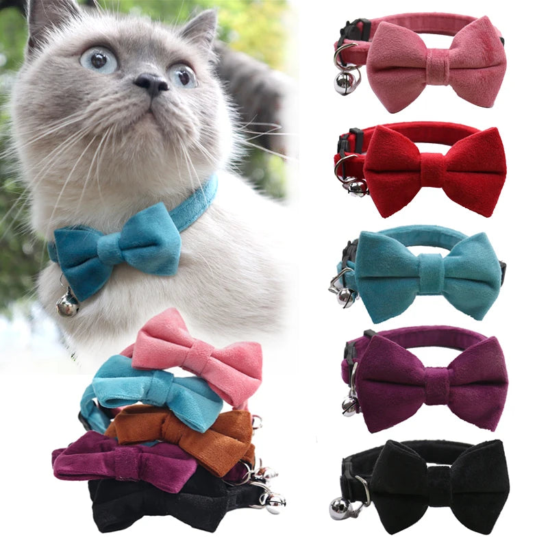 Cat wearing the Velvet Bow Cat Collar, with all six colours