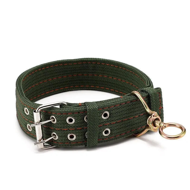 Heavy-Duty Padded Dog Collar in Army Green