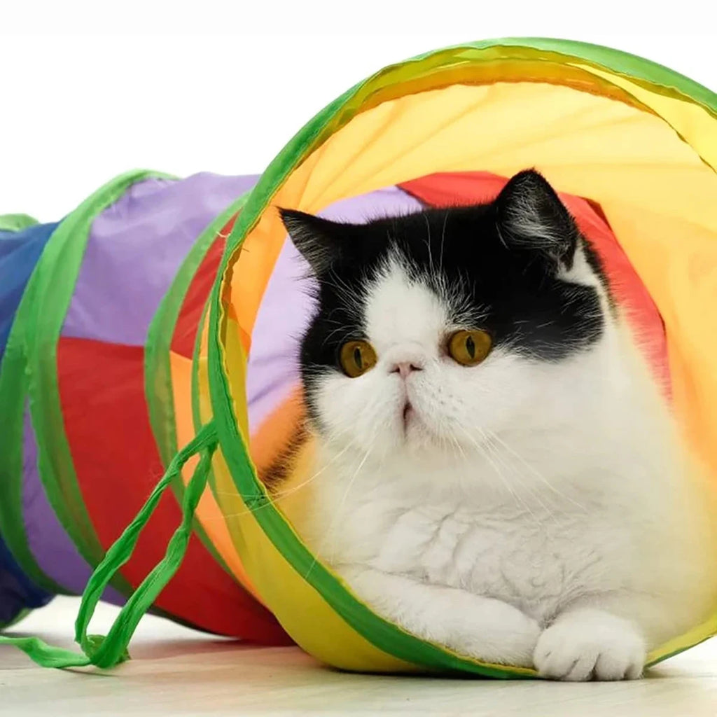 Foldable Play Tunnel