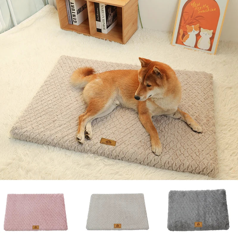 Shiba Inu lying on the Cloud Foam Dog Bed in khaki
