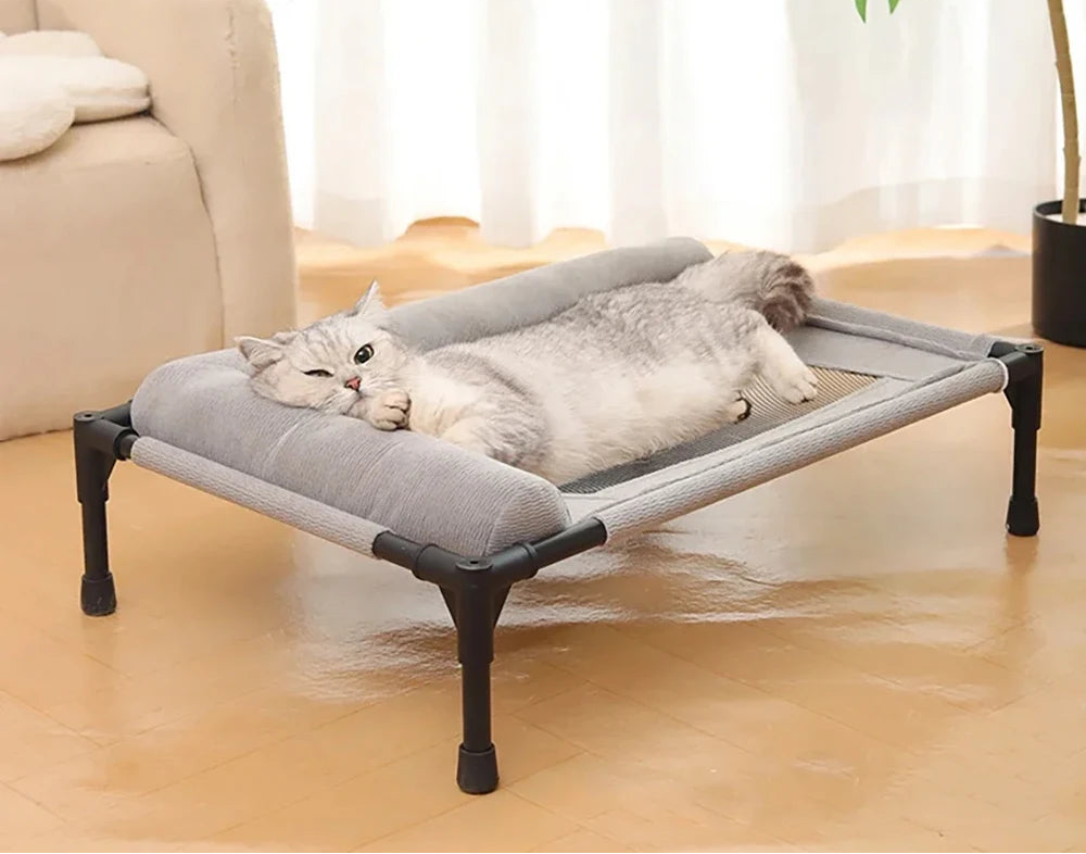 Cat relaxing on the Raised Cat Cot with Pillow