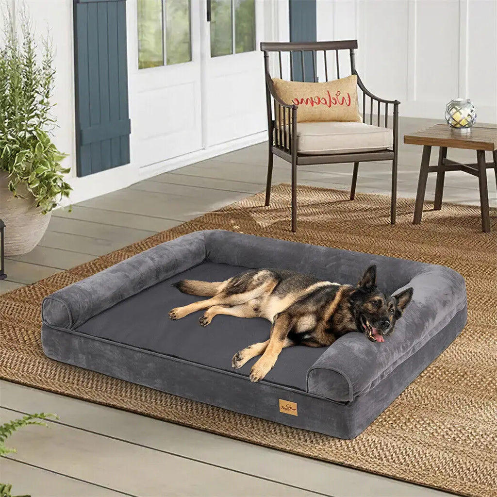 Dog relaxing on the Orthopaedic Sofa Dog Bed in a living room