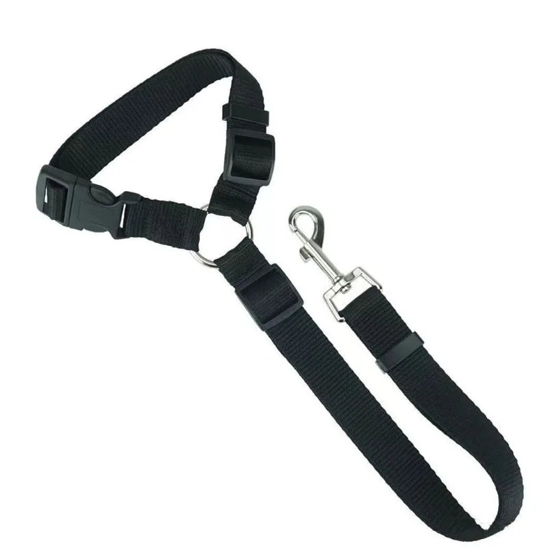 Car Seat Belt Lead