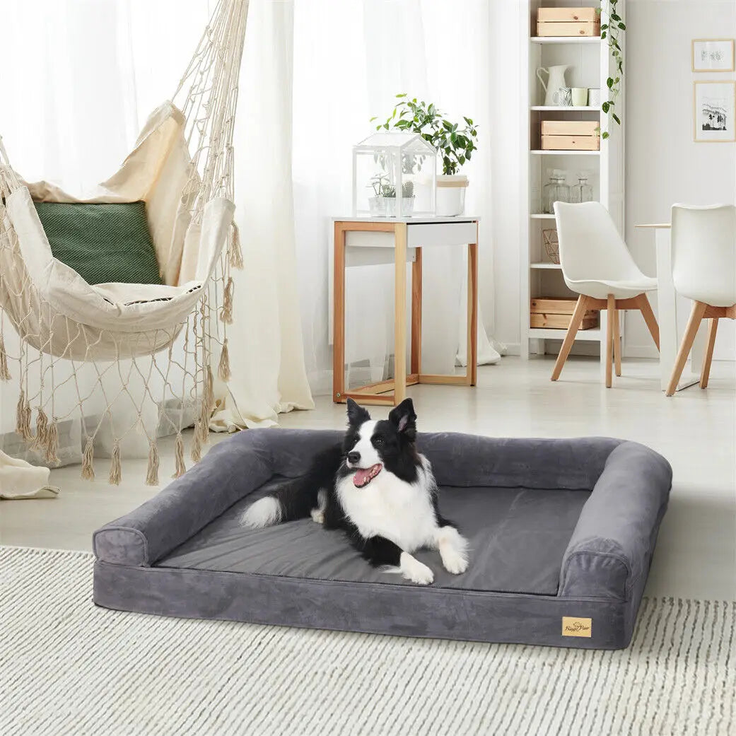 Border Collie on the Orthopaedic Sofa Dog Bed in grey