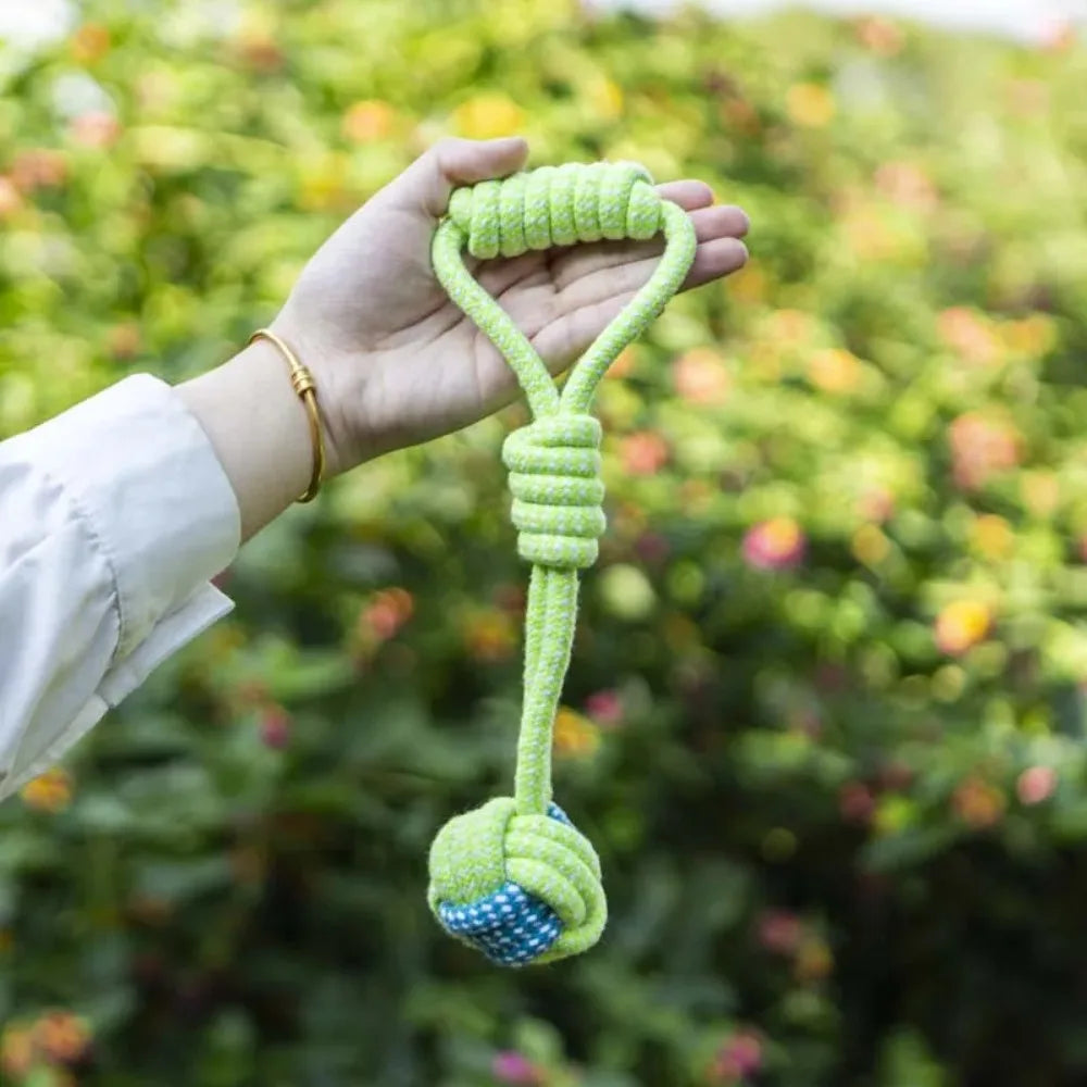 Rope ball tug toy in hand