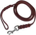Braided Leather Dog Lead coiled