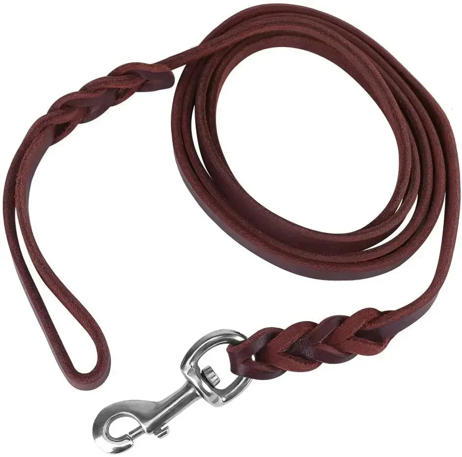Braided Leather Dog Lead coiled
