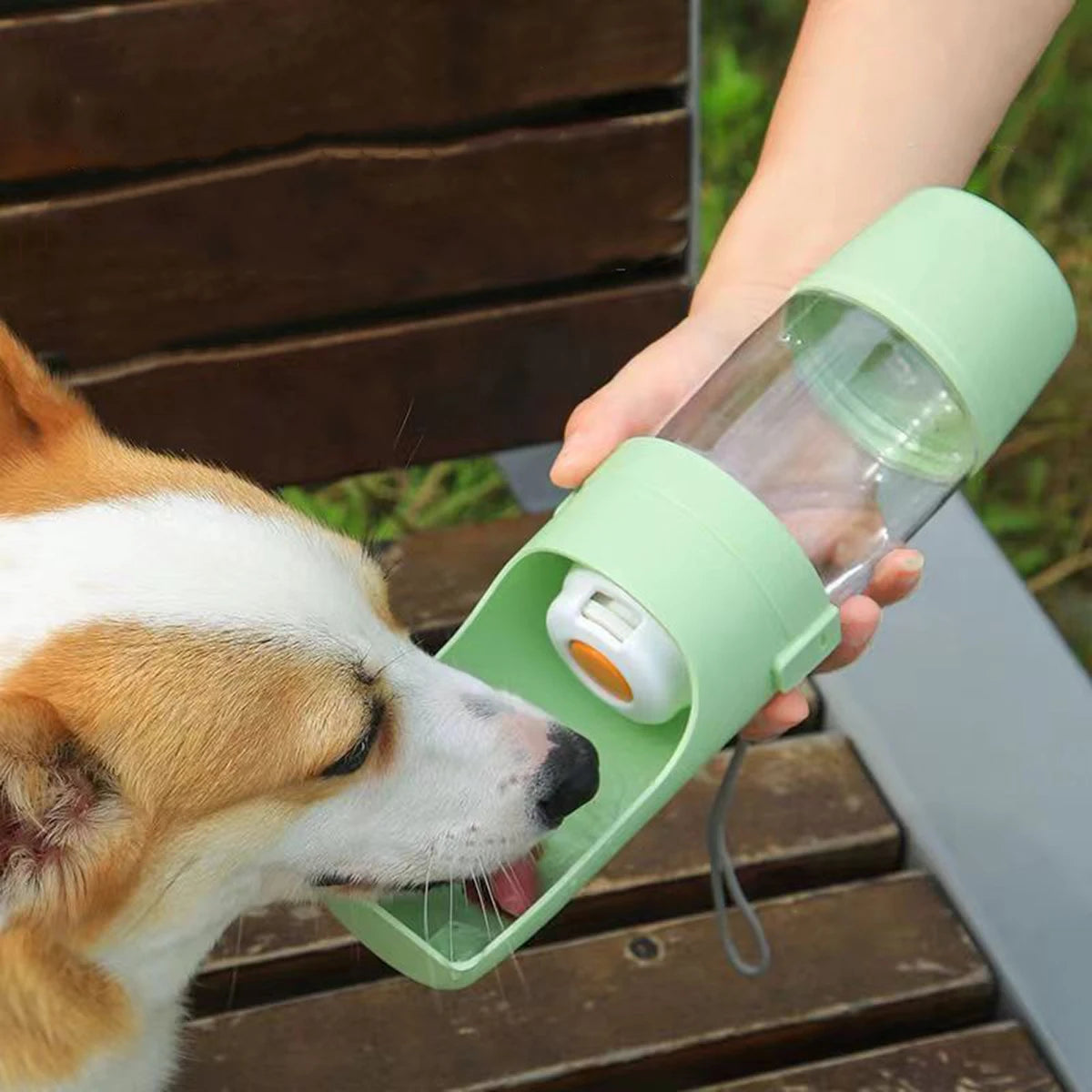 Dog drinking from the travel bottle