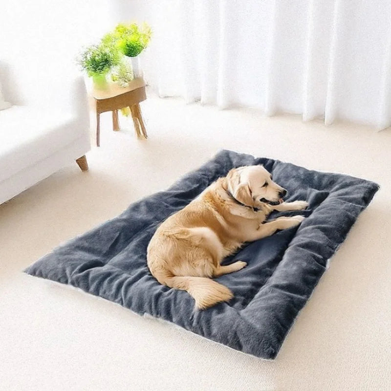 Retriever stretched out on the Large Plush Dog Bed