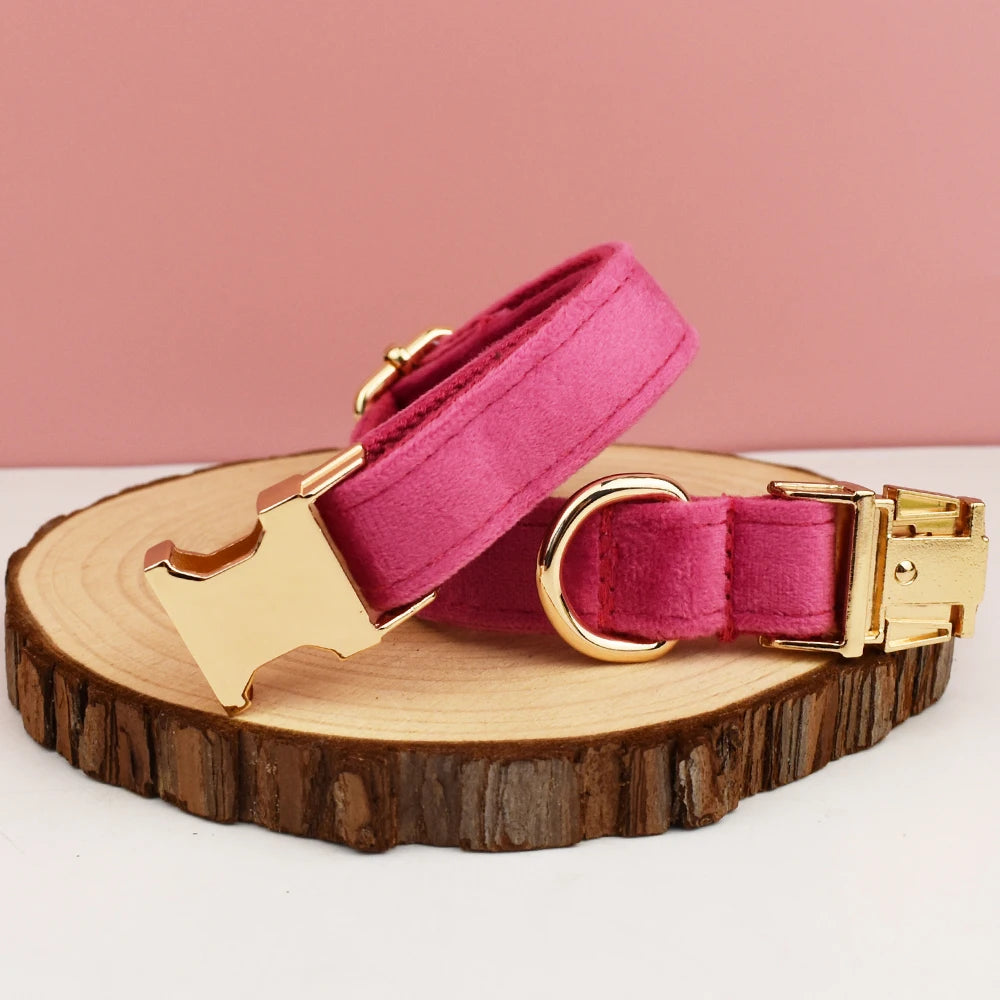 Velvet Dog Collar in Fuchsia