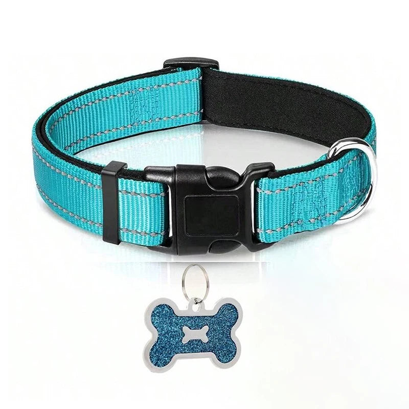 Reflective Padded Dog Collar in Turquoise with bone ID tag