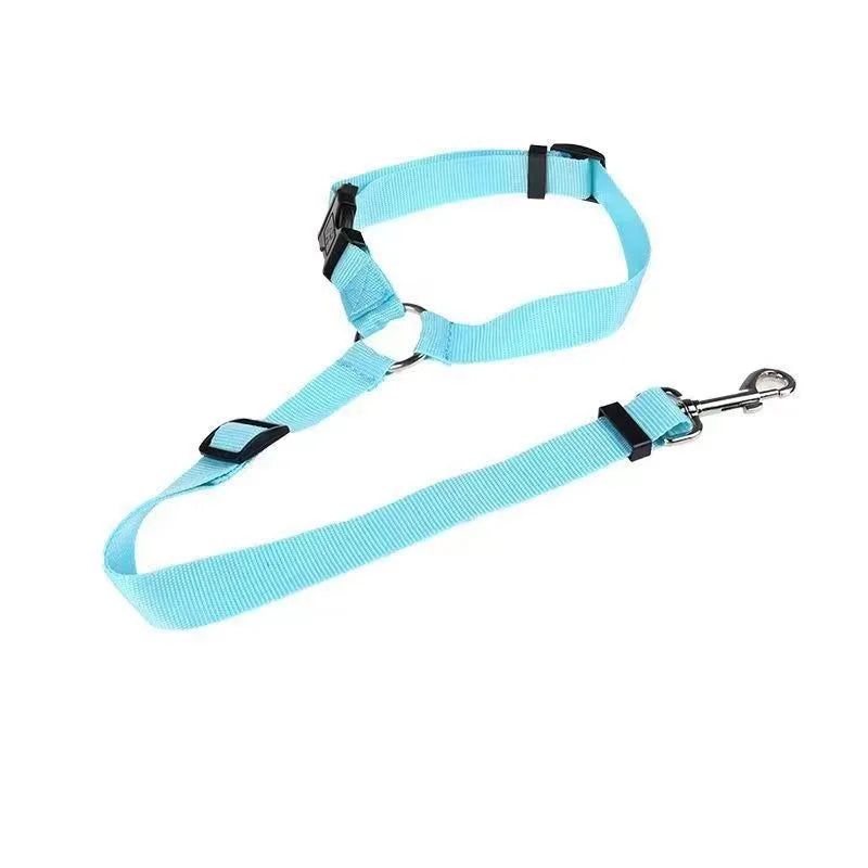 Car Seat Belt Lead