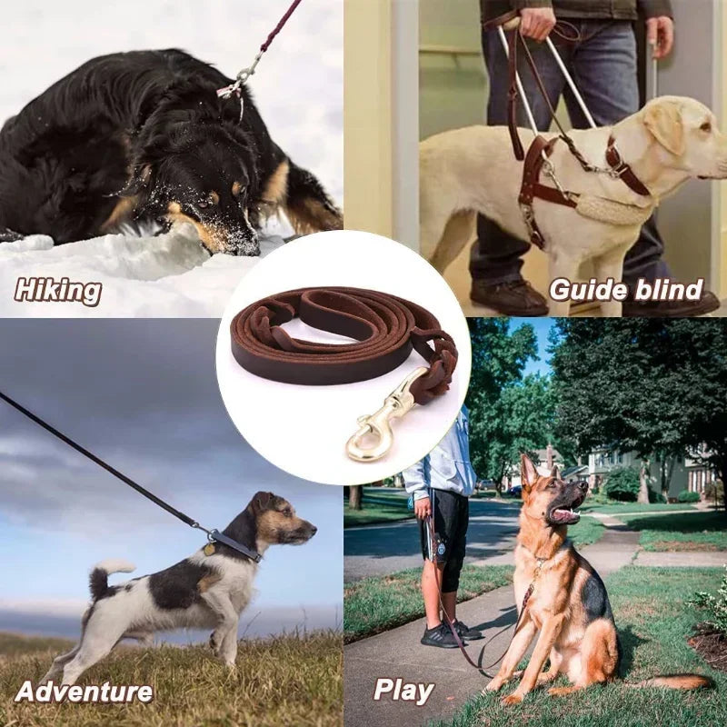 Dog walking on the leather lead