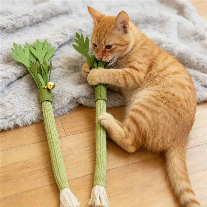 Catnip Celery Chew Toy