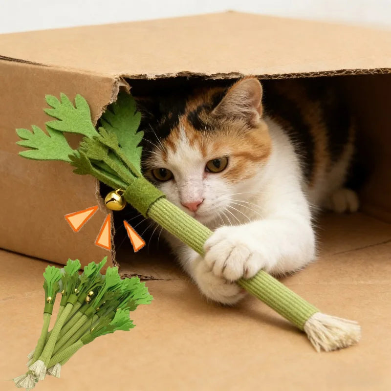 Catnip Celery Chew Toy