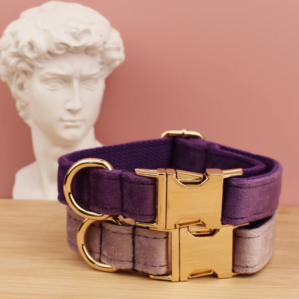 Velvet Dog Collar in Purple