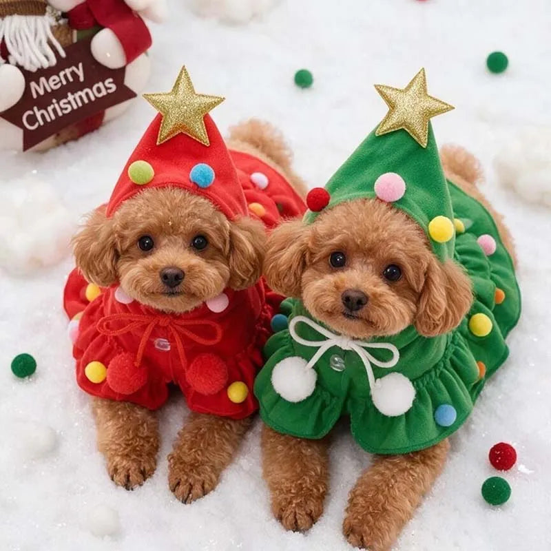 Two poodles wearing red and green Christmas Tree Pet Costumes