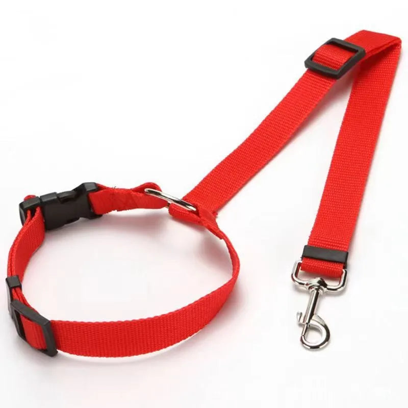 Car Seat Belt Lead
