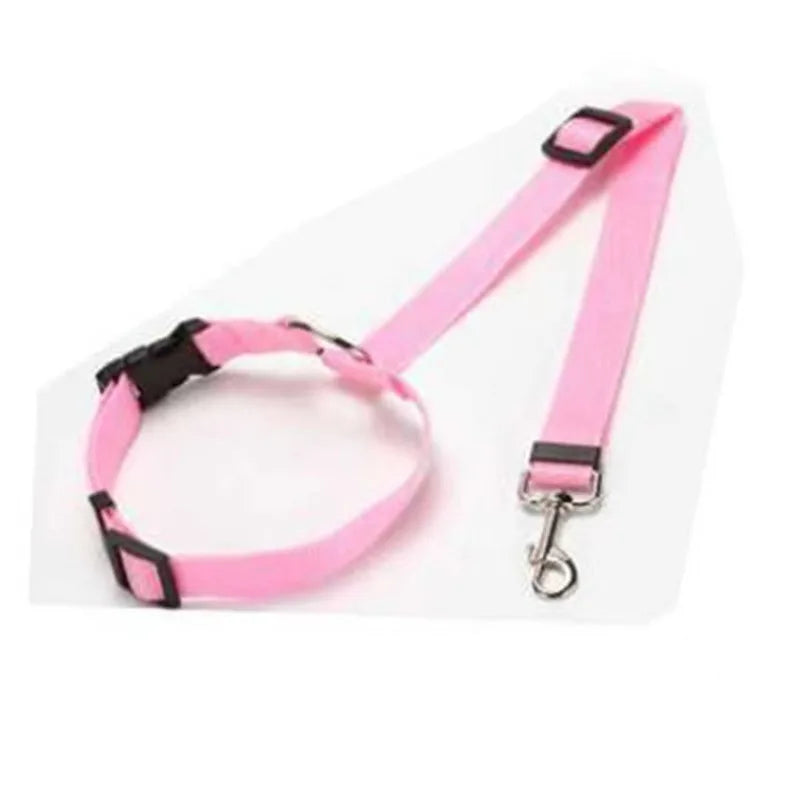 Car Seat Belt Lead