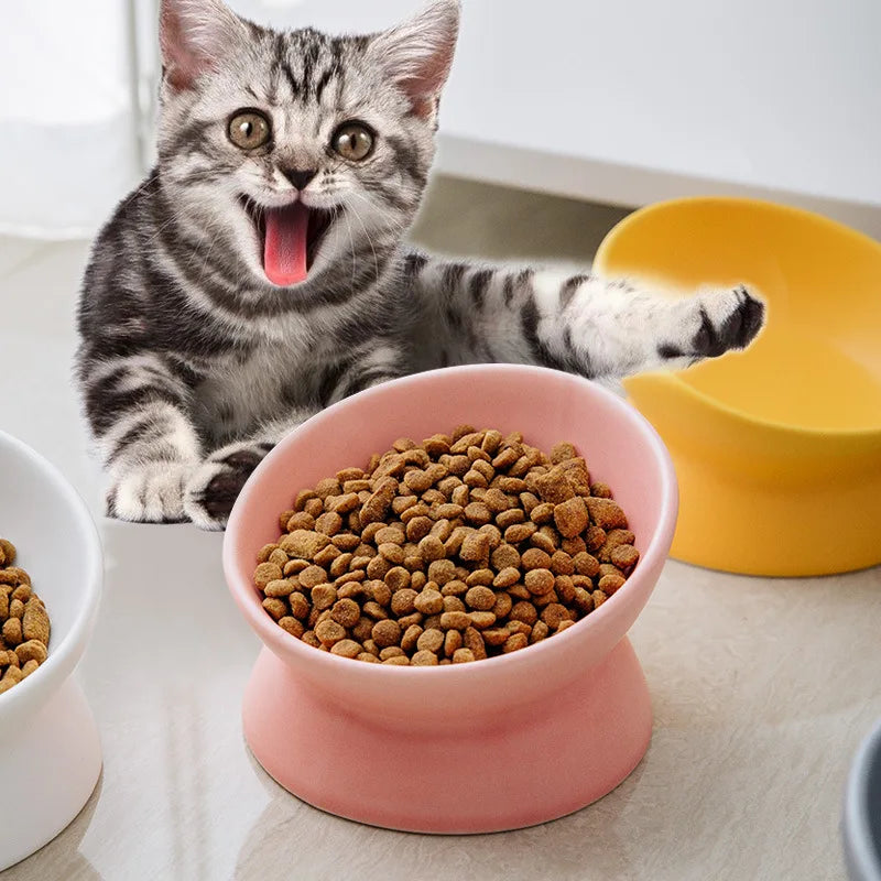 Tilted Ceramic Cat Bowl
