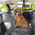 Golden Retriever on the Car Seat Dog Hammock in the back seat