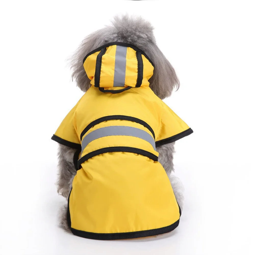 Hood up on the yellow dog raincoat