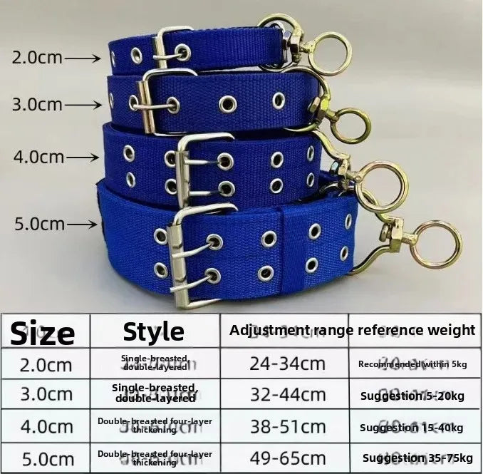 Heavy-Duty Padded Dog Collar in Blue with size chart