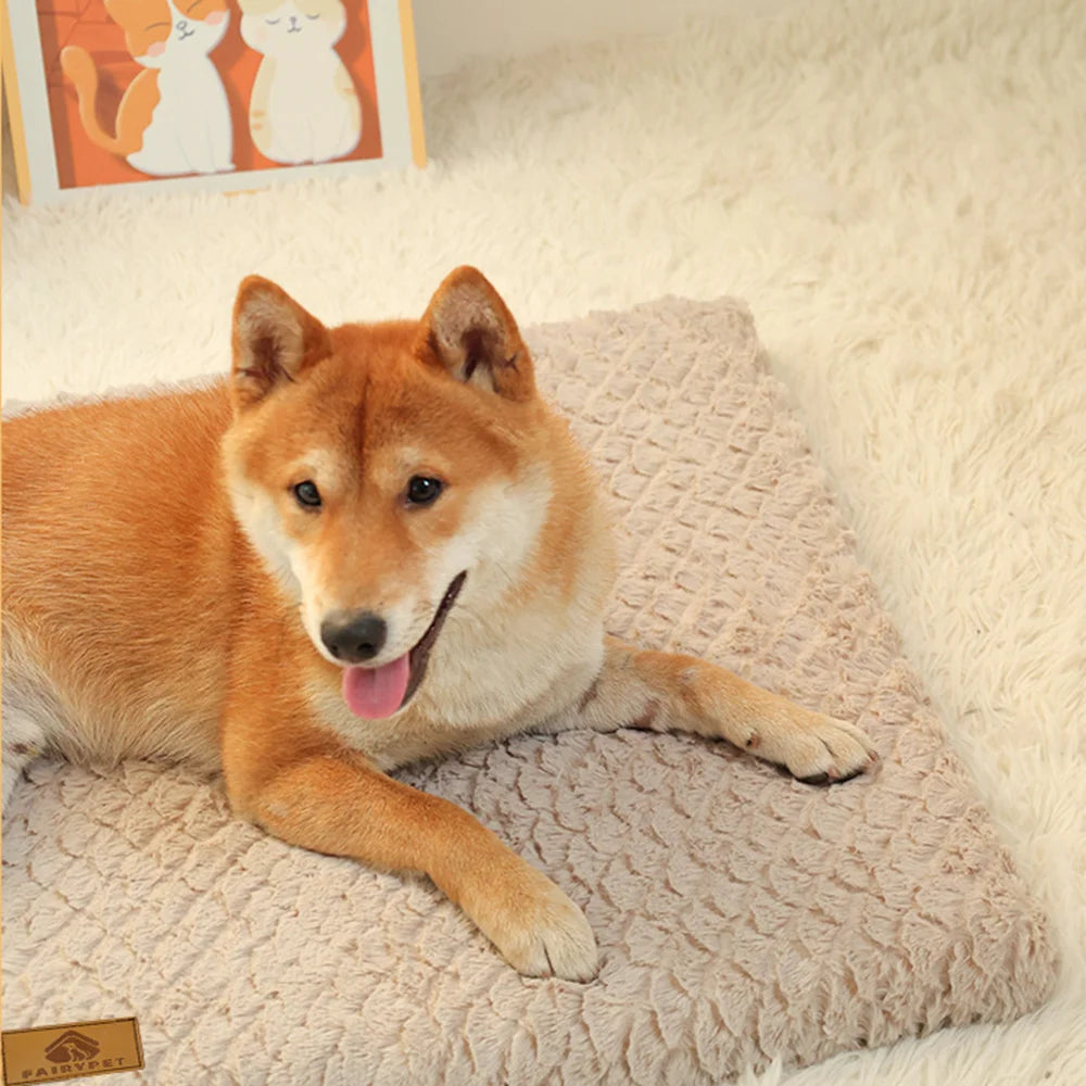 Shiba Inu resting on the Cloud Foam Dog Bed