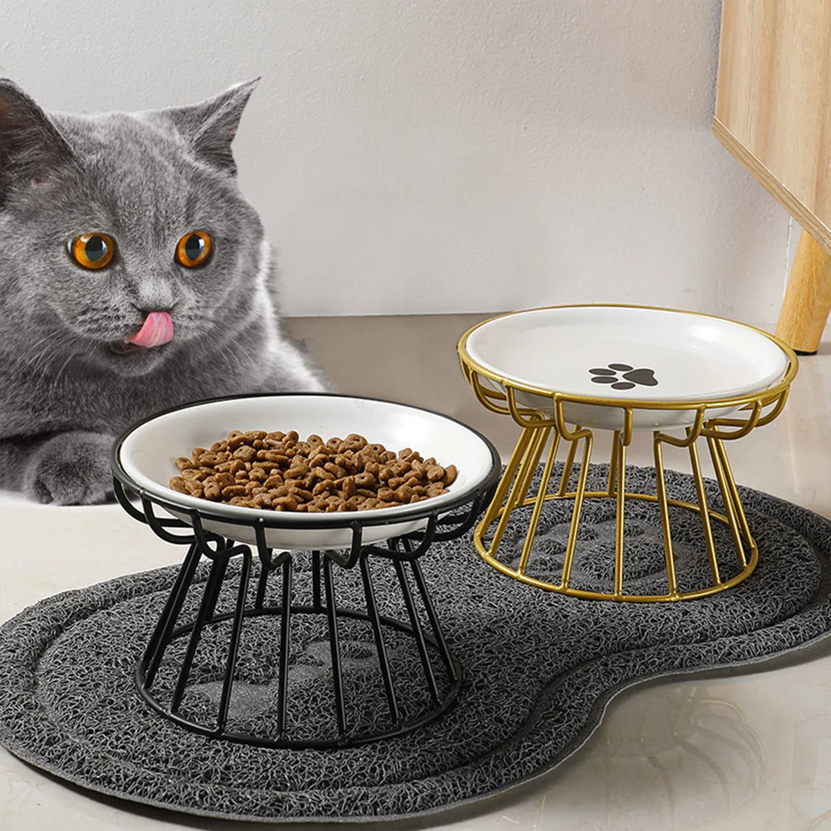 Raised Ceramic Cat Bowl & Stand