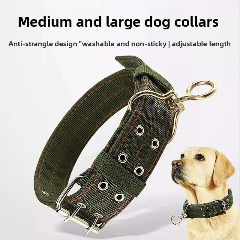 Labrador wearing the army green Heavy-Duty Padded Dog Collar